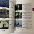 画像5: 香川県レッドデータブック 香川県の希少野生生物 普及版 2004 香川県環境森林部 みどり保全課 2006年 平成18年 (5)