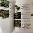 画像6: 香川県レッドデータブック 香川県の希少野生生物 普及版 2004 香川県環境森林部 みどり保全課 2006年 平成18年 (6)