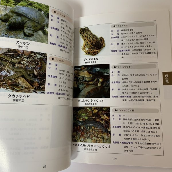 画像6: 香川県レッドデータブック 香川県の希少野生生物 普及版 2004 香川県環境森林部 みどり保全課 2006年 平成18年 (6)