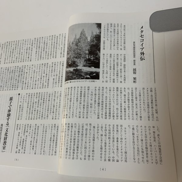画像4: れきみん 第22号 平成24年 2012年 資料 高松市歴史民俗協会  (4)