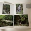 画像6: 滑床の自然と探勝 大谷彰 松野町観光公社 平成3年 1991年 (6)