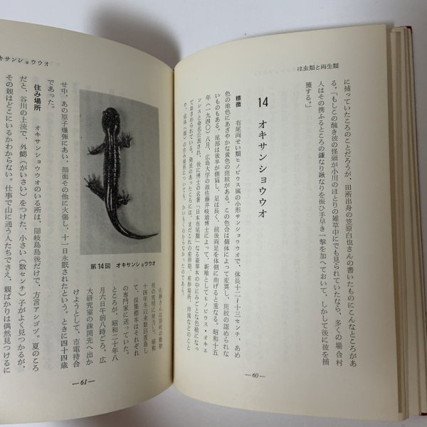 画像9: 山陰の動物誌 山陰文化シリーズ2 上田常一 松江 今井書店 昭和39年 1964年 (9)