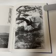 画像7: 写真集 明治・大正・昭和 坂出 ふるさとの想い出 川畑迪 国書刊行会 昭和57年 1982年 (7)
