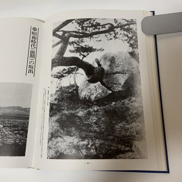 画像7: 写真集 明治・大正・昭和 坂出 ふるさとの想い出 川畑迪 国書刊行会 昭和57年 1982年 (7)