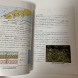 画像5: サヌカイト(カンカン石)の秘密 香川県教育委員会 平成3年度 1991年度 (5)