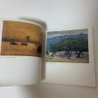 画像5: 瀬戸内風景 近代画家の眼 瀬戸大橋架橋記念特別展覧会 1988年 昭和63年 岡山県立美術館 (5)