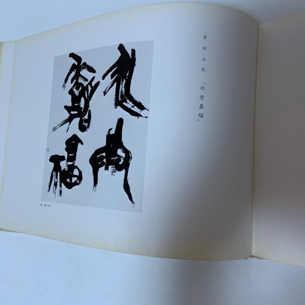 画像10: 弘法大師御誕生千二百年記念 奉賛 絵伝・書道集 平井太郎 昭和48年 1973年 (10)