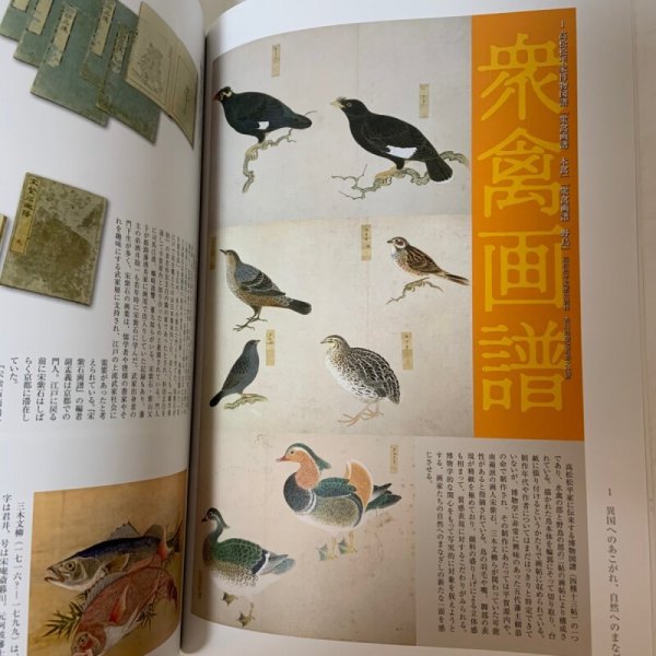 画像5: 東溪と南蘋派 花鳥画の系譜＋チラシ 高松市歴史資料館 第74回企画展 2018年 (5)