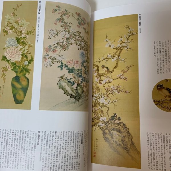 画像9: 東溪と南蘋派 花鳥画の系譜＋チラシ 高松市歴史資料館 第74回企画展 2018年 (9)