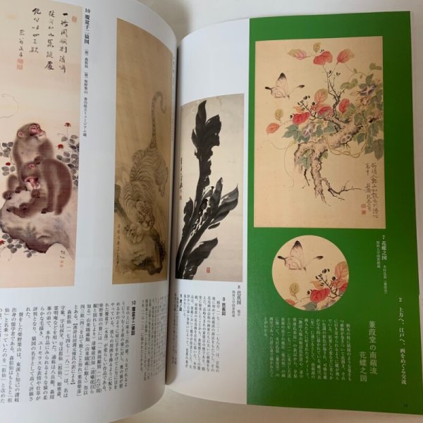 画像6: 東溪と南蘋派 花鳥画の系譜＋チラシ 高松市歴史資料館 第74回企画展 2018年 (6)