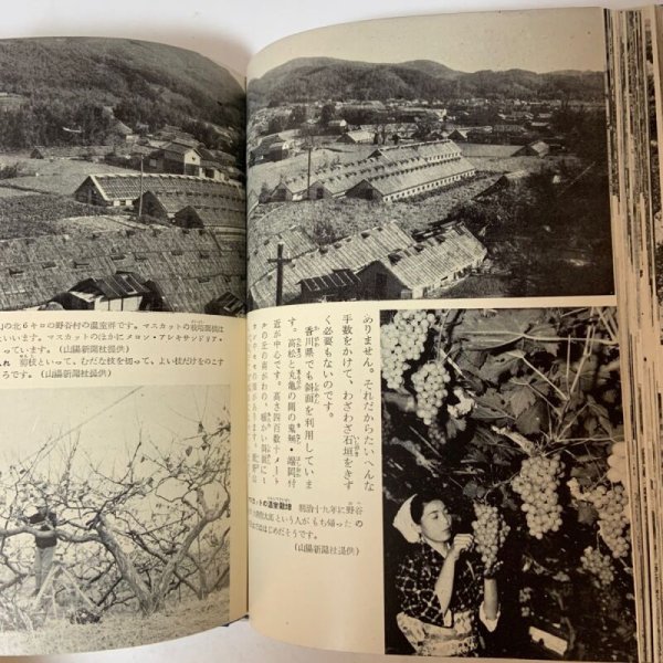 画像9: わが国土 9 瀬戸内海沿岸地方 喜多村俊夫 国民図書刊行会 1955年 (9)
