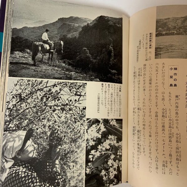 画像8: わが国土 9 瀬戸内海沿岸地方 喜多村俊夫 国民図書刊行会 1955年 (8)