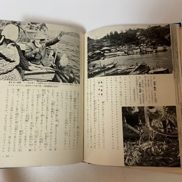 画像5: わが国土 9 瀬戸内海沿岸地方 喜多村俊夫 国民図書刊行会 1955年 (5)