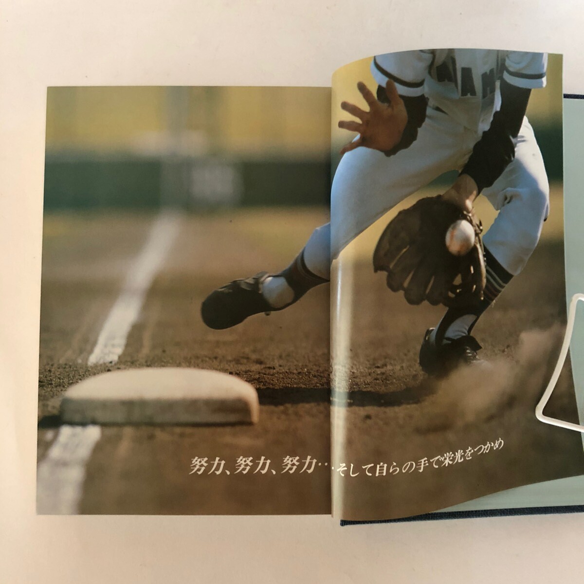 香川県立高松商業高等学校野球史 香川県立高松商業高等学校校内